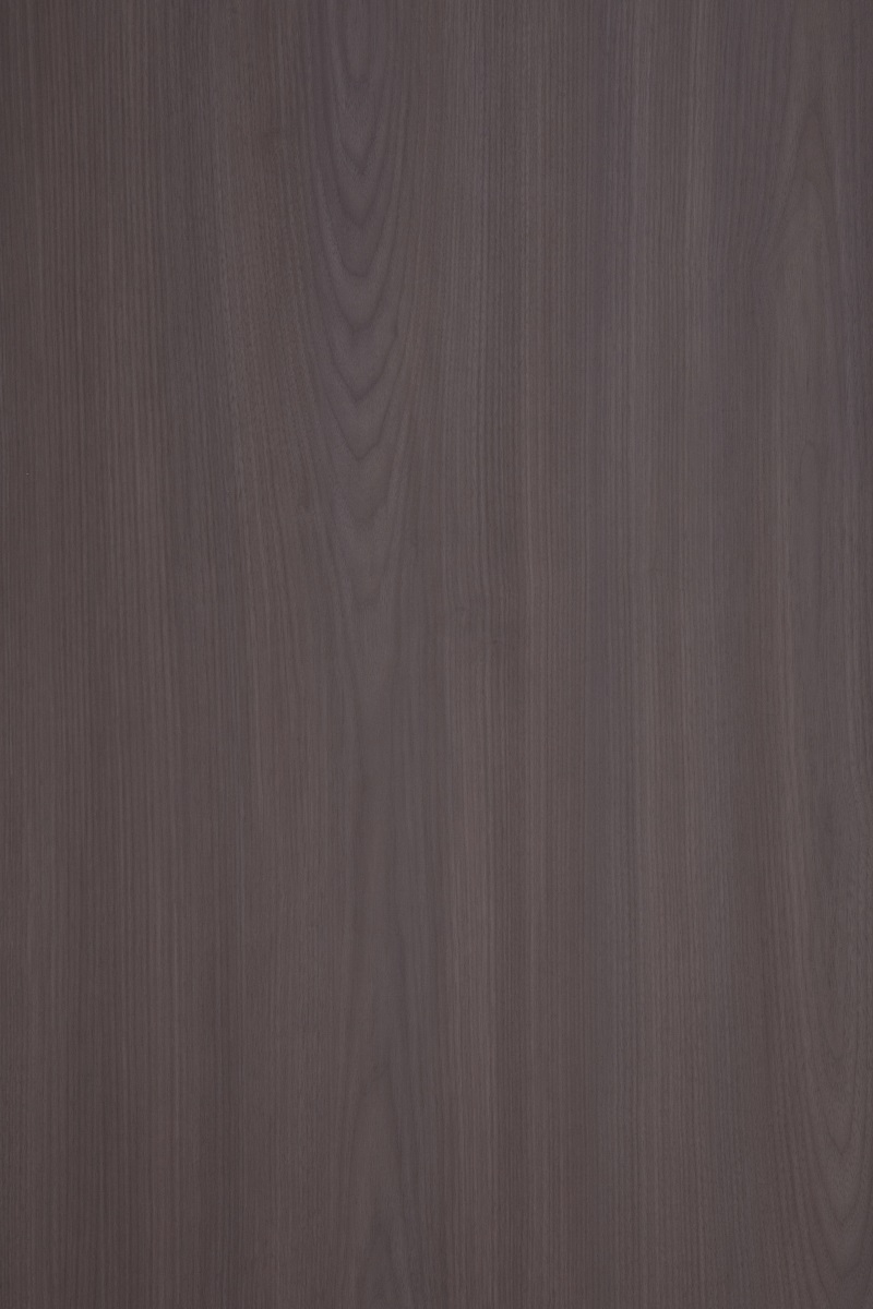 泰爾斯